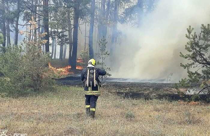 Внаслідок детонації боєприпасів на Харківщині вирує потужна лісова пожежа